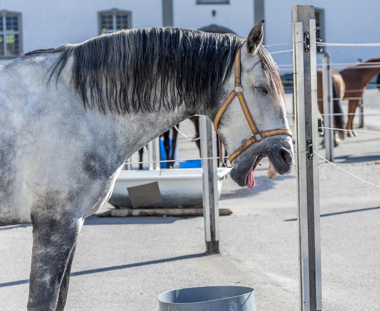 快乐源泉：10分钟轻松读笑