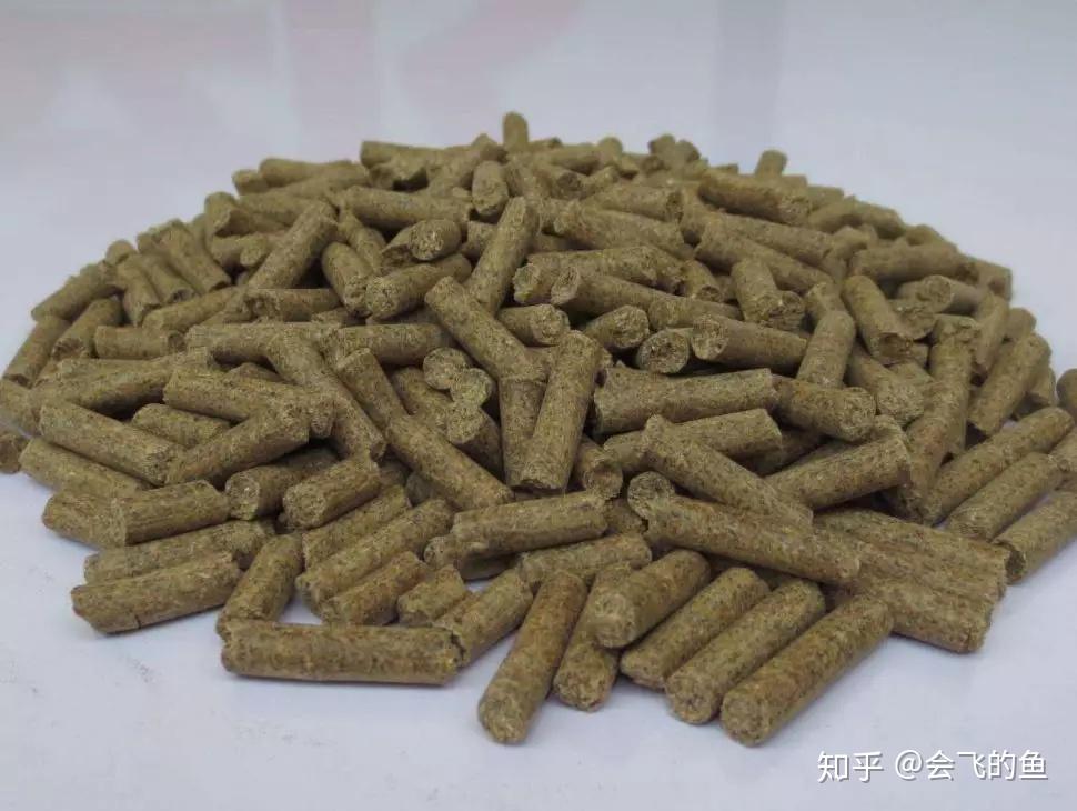 钓鱼不知道怎么配饵？带上这4包饵料，走到哪里都不怕！ - 知乎