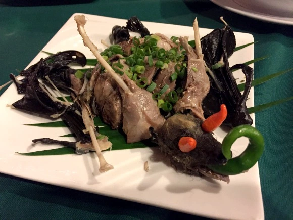 病毒是不是武汉人吃蝙蝠引起的求辟谣