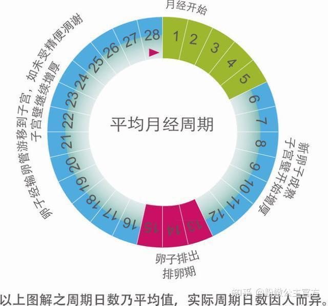 月经失调挂号挂哪科(月经失调挂号挂哪科检查)