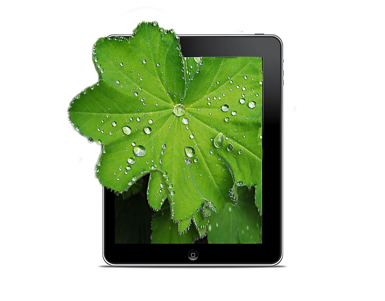 3. 荷叶柜组装指南