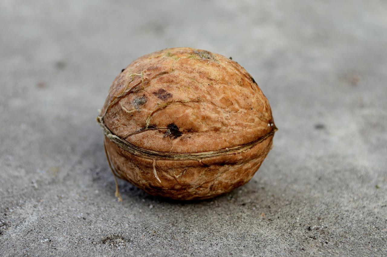 买什么样的核桃好