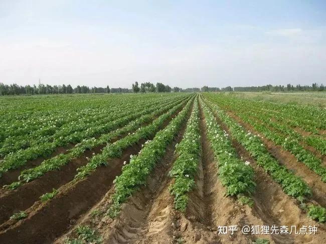 中国古代农业的耕作方式是什么?刀耕火种、精耕细作、集体劳作、个体农耕这些概念之间又是什么关系? - 知乎