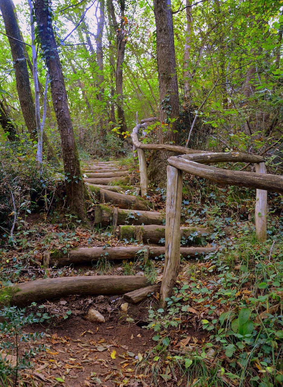 3. 栽植时间要点