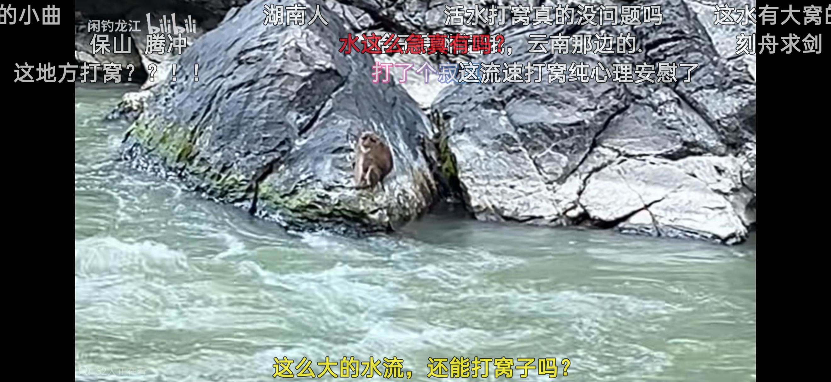 为什么说「钓鱼佬除了鱼什么都能钓上来」？ - 知乎