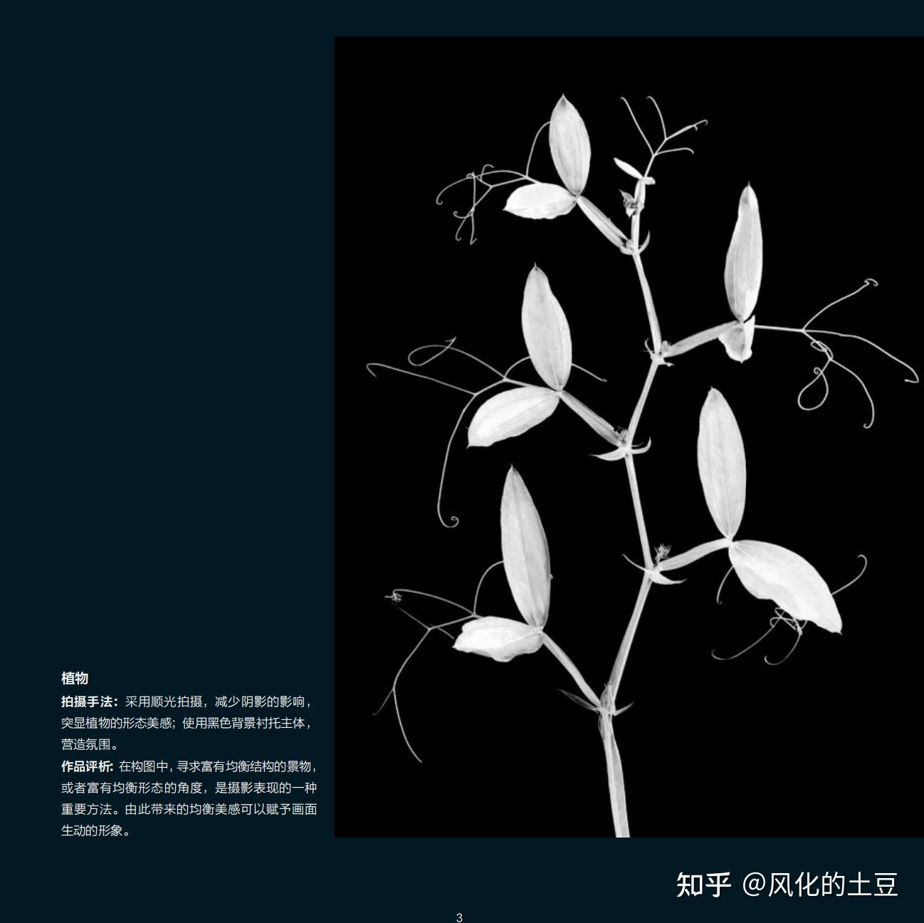 摄影必修课-构图与取舍的艺术 - 知乎