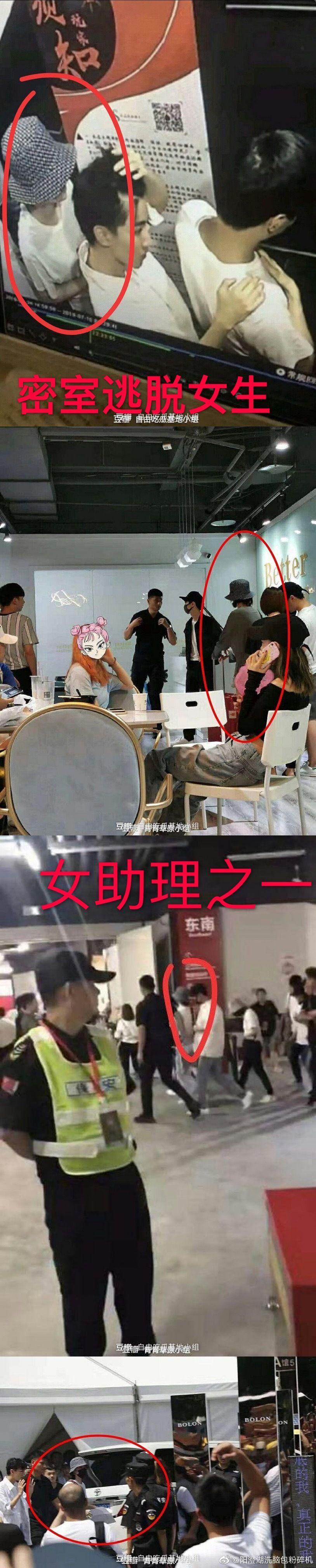 杨柳经纪人图片