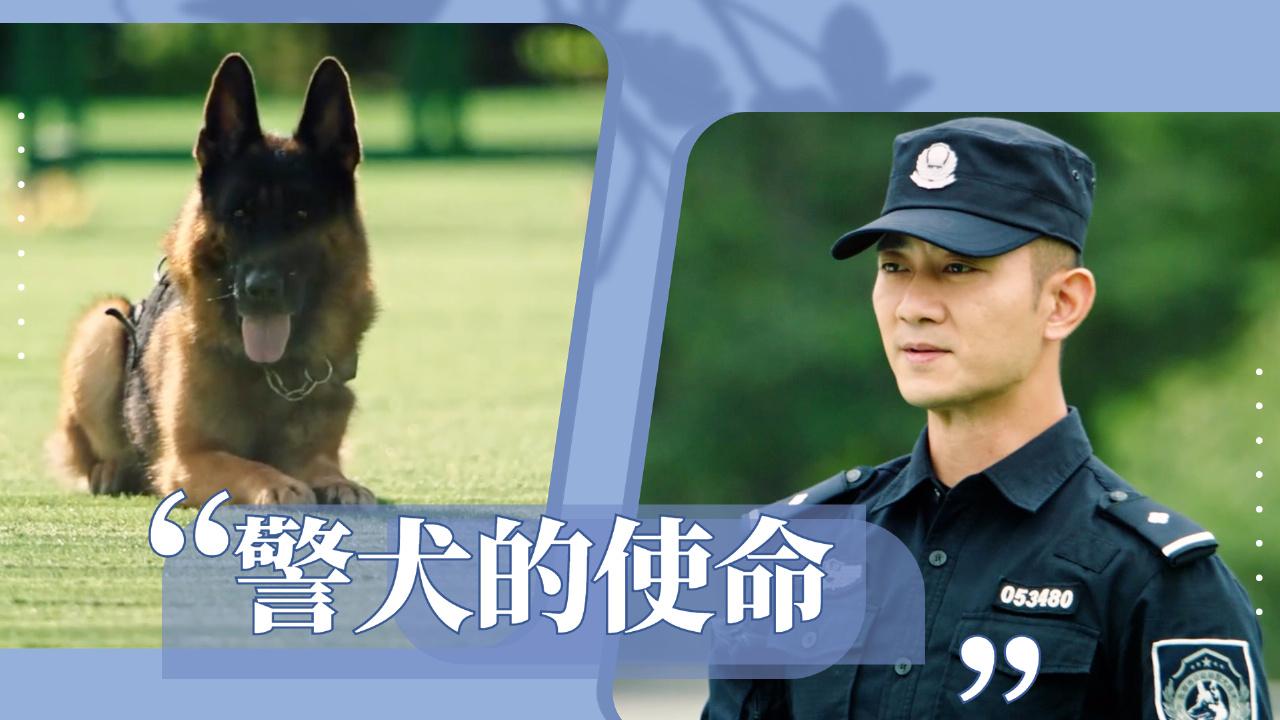 警犬电影黑狼图片