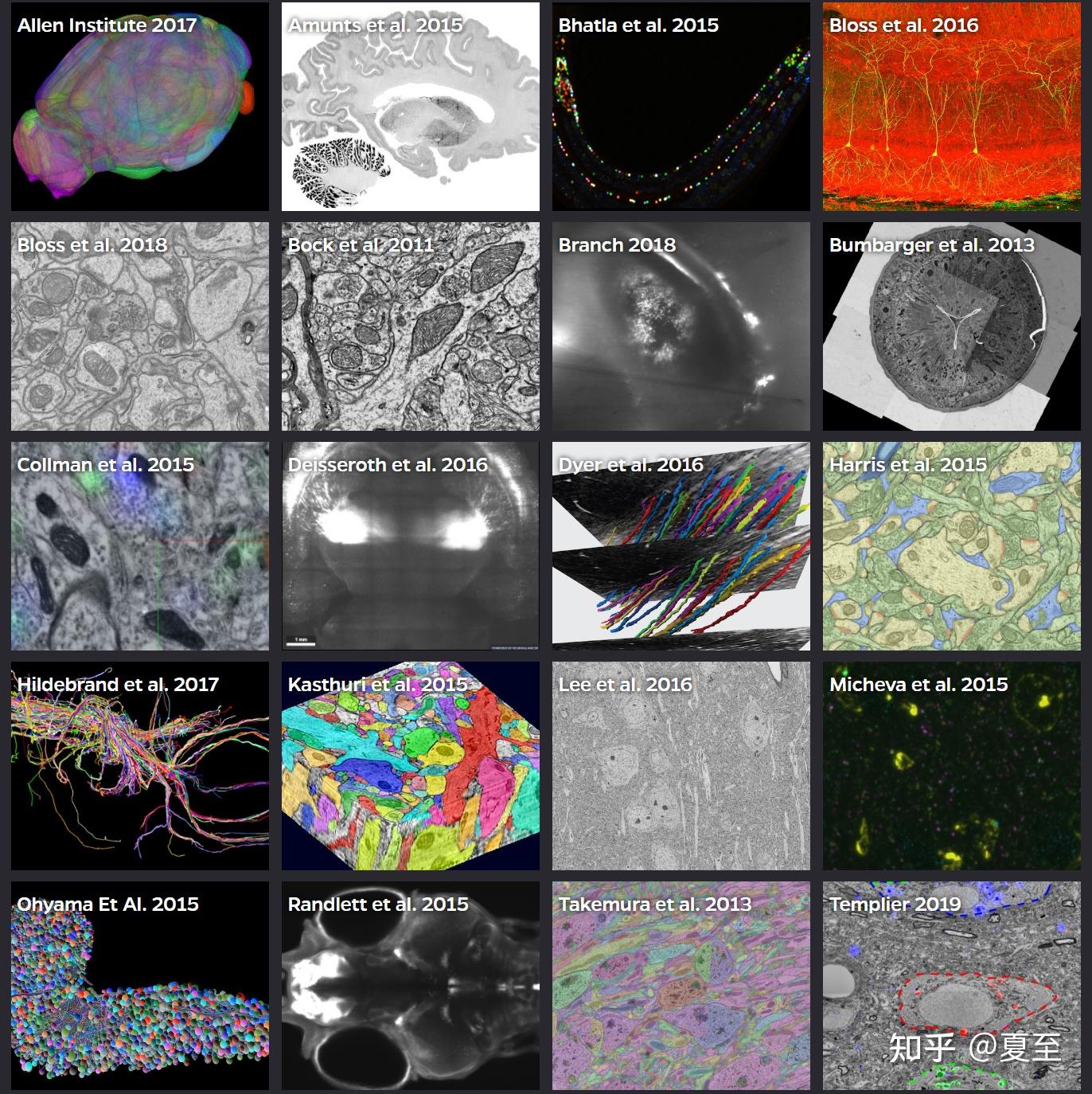 Neuroscience 神经科学相关数据集 - 知乎
