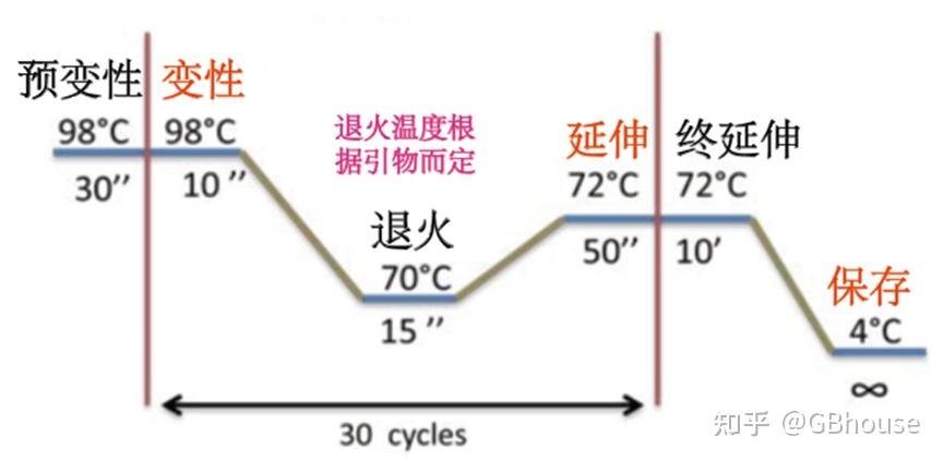 带你了解PCR、Real-Time PCR、RT-PCR、qRT-PCR你知道或者不知道的信息 - 知乎