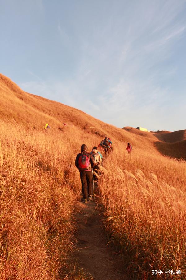 佳能18135套机镜头能否有好的成片呢,有没有好心人放上一两张成片?