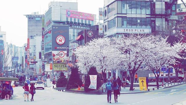 利兹大学和谢菲尔德大学的offer,你选哪个？ - 知乎
