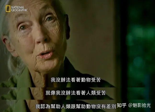 珍·古道尔的传奇一生:深耕原始森林40年,只为猩猩! - 知乎