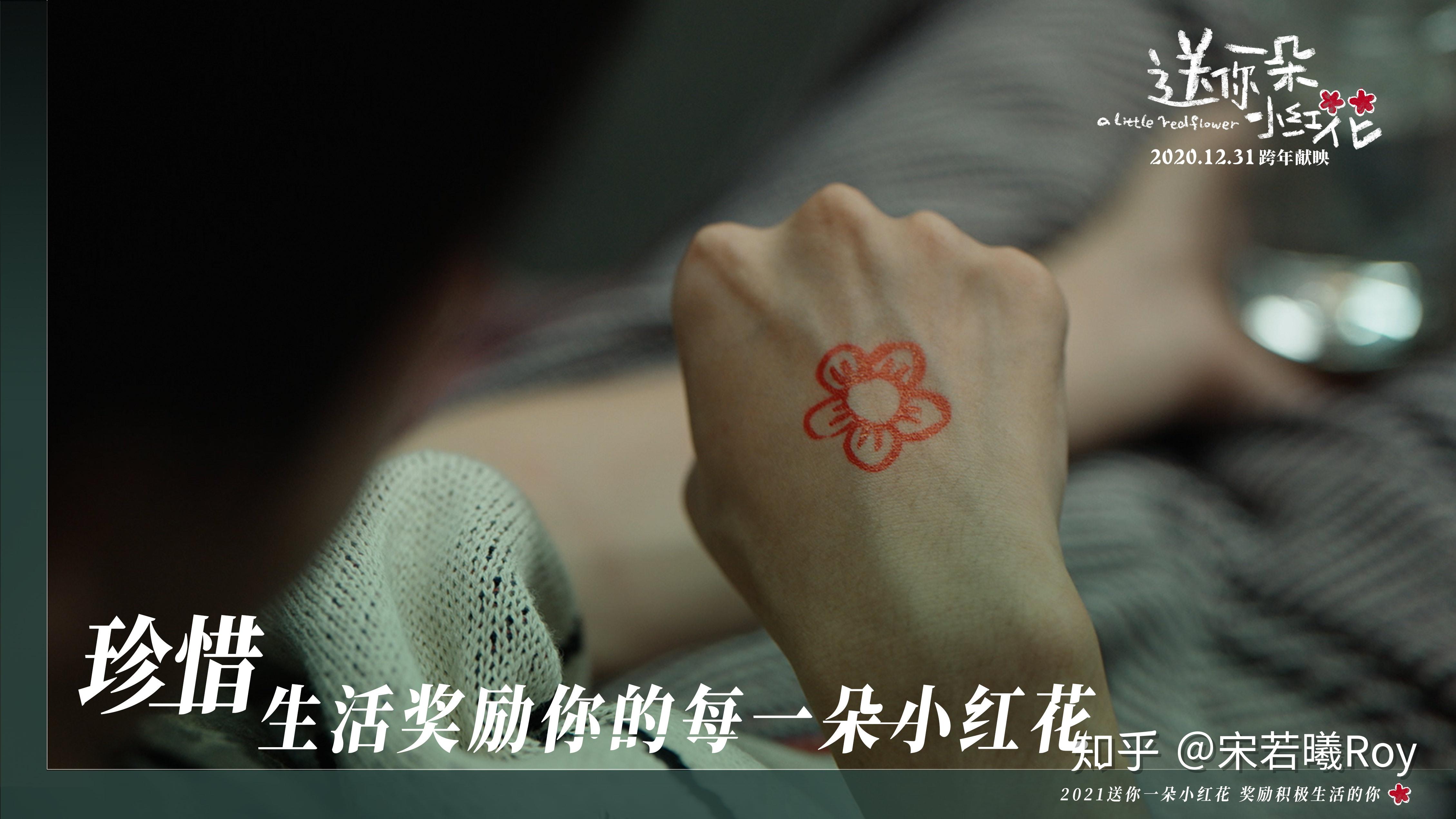 如何评价电影送你一朵小红花