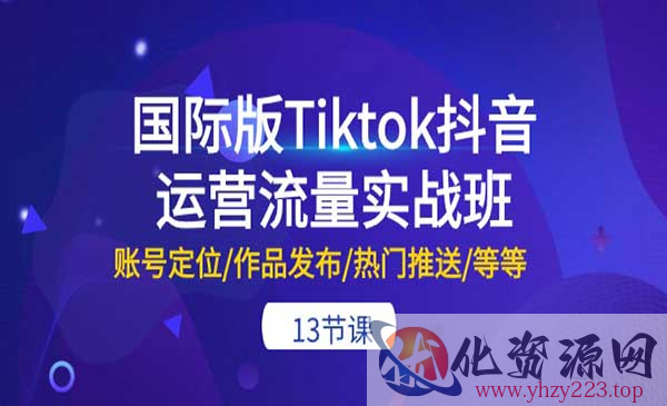 Tiktok运营流量实战班_wwz