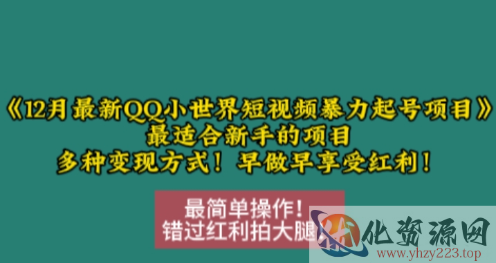 12月最新QQ小世界短视频暴力起号项目，最适合新手的项目，多种变现方式