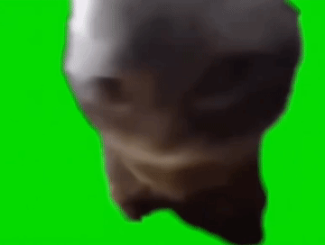 猫meme绿幕素材合集分享 - 知乎