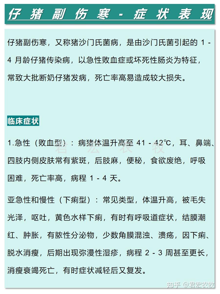 4步预防+5种治疗方案应对仔猪副伤寒 - 知乎