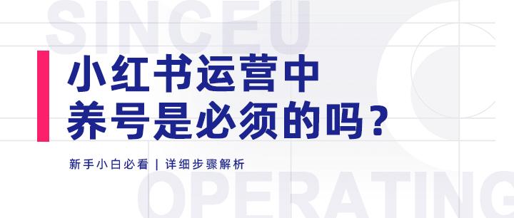 小红书账号管理流程视频是什么？多个小红书账号怎么管理？，小红书账号管理全攻略：从注册到多账号高效运营,小红书账号管理流程视频是什么,多个小红书账号怎么管理,小红书账号管理流程视频,小红书,回复评论,小红书账号,第1张