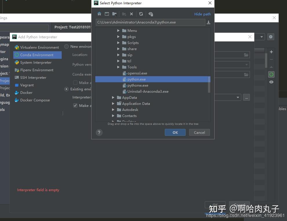 Pycharm Debug C