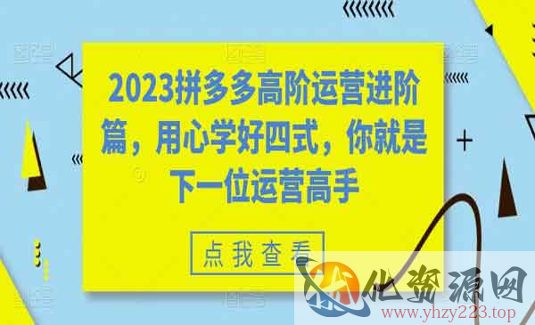 《拼多多高阶运营进阶篇》用心学好四式，你就是下一位运营高手_wwz