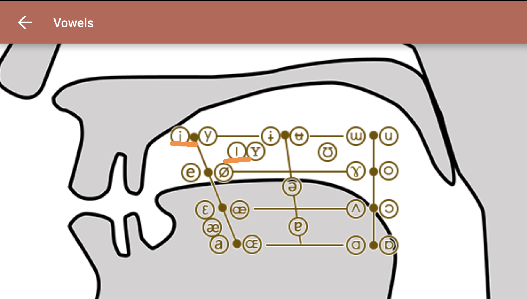 英语中元音字母的正确发音是这样吗?