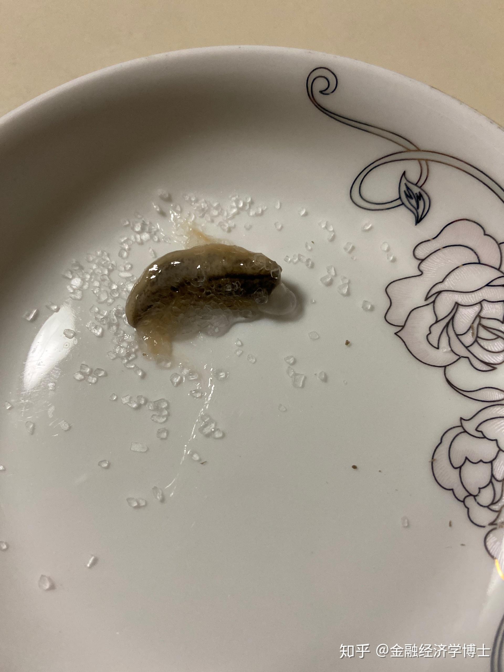 给鼻涕虫(蛞蝓)身上撒盐的时候都发生了什么? - 知乎