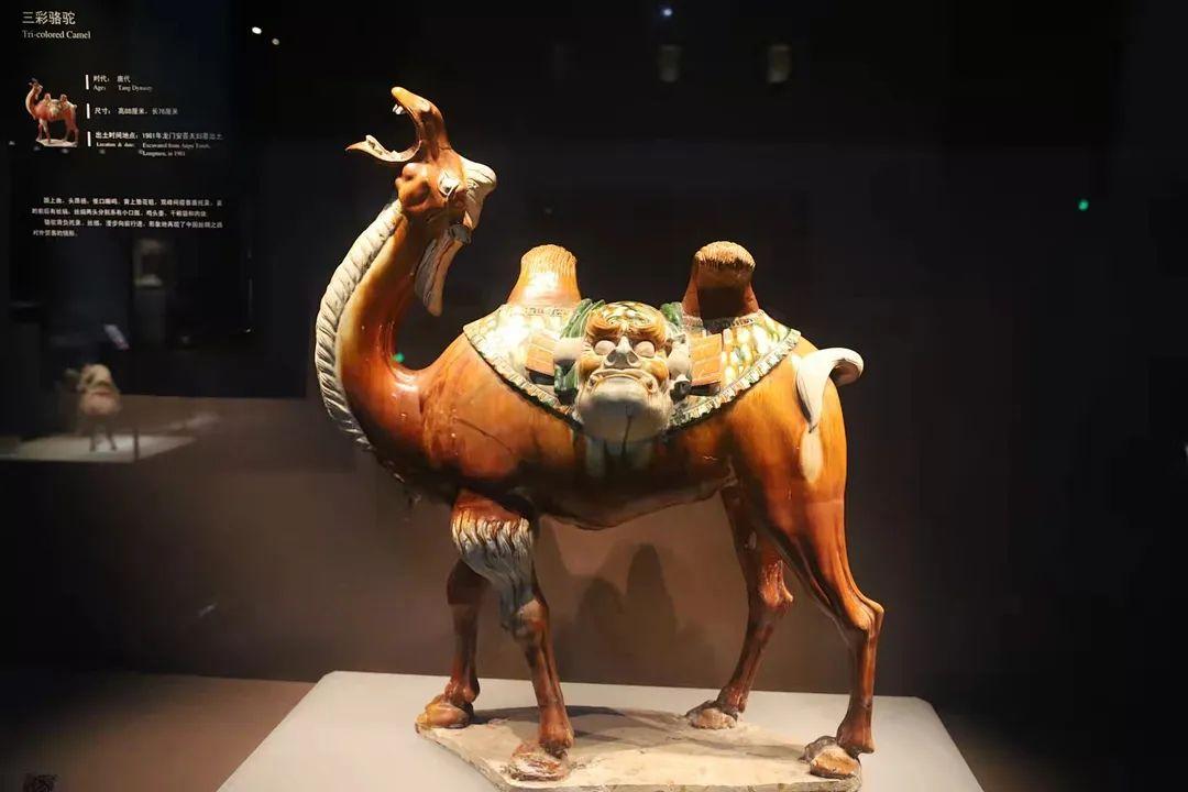 唐三彩——盛世大唐的华彩流光！ - 知乎