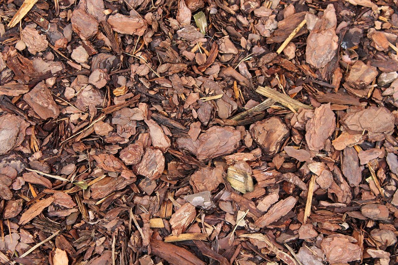 4. 诗意树皮建筑