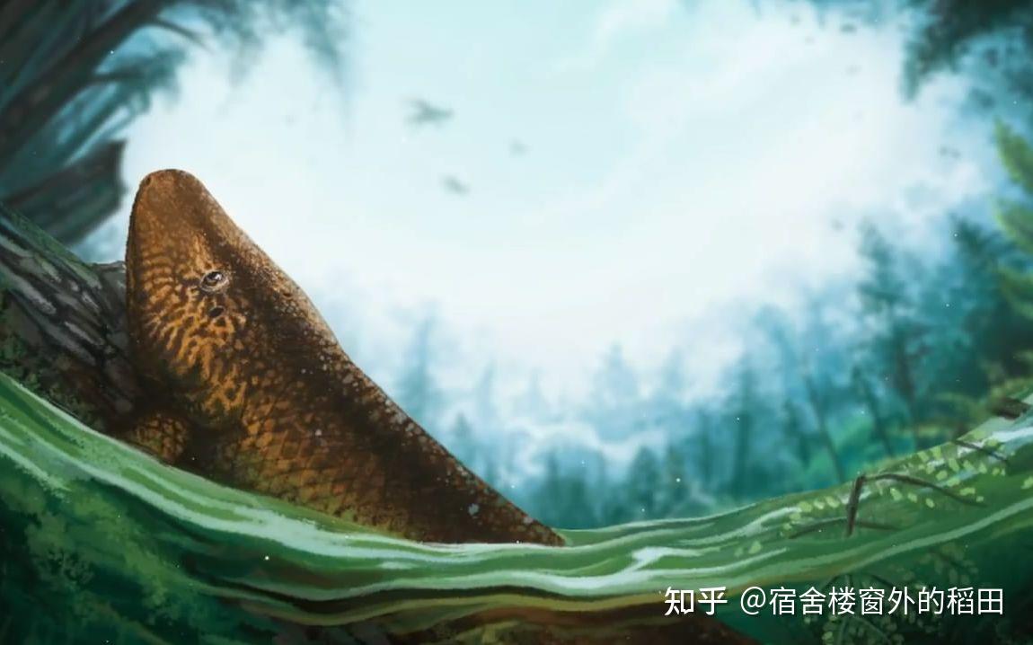 全球 進化 後 我 站 在 食物鏈 頂端 fc (99) 사진