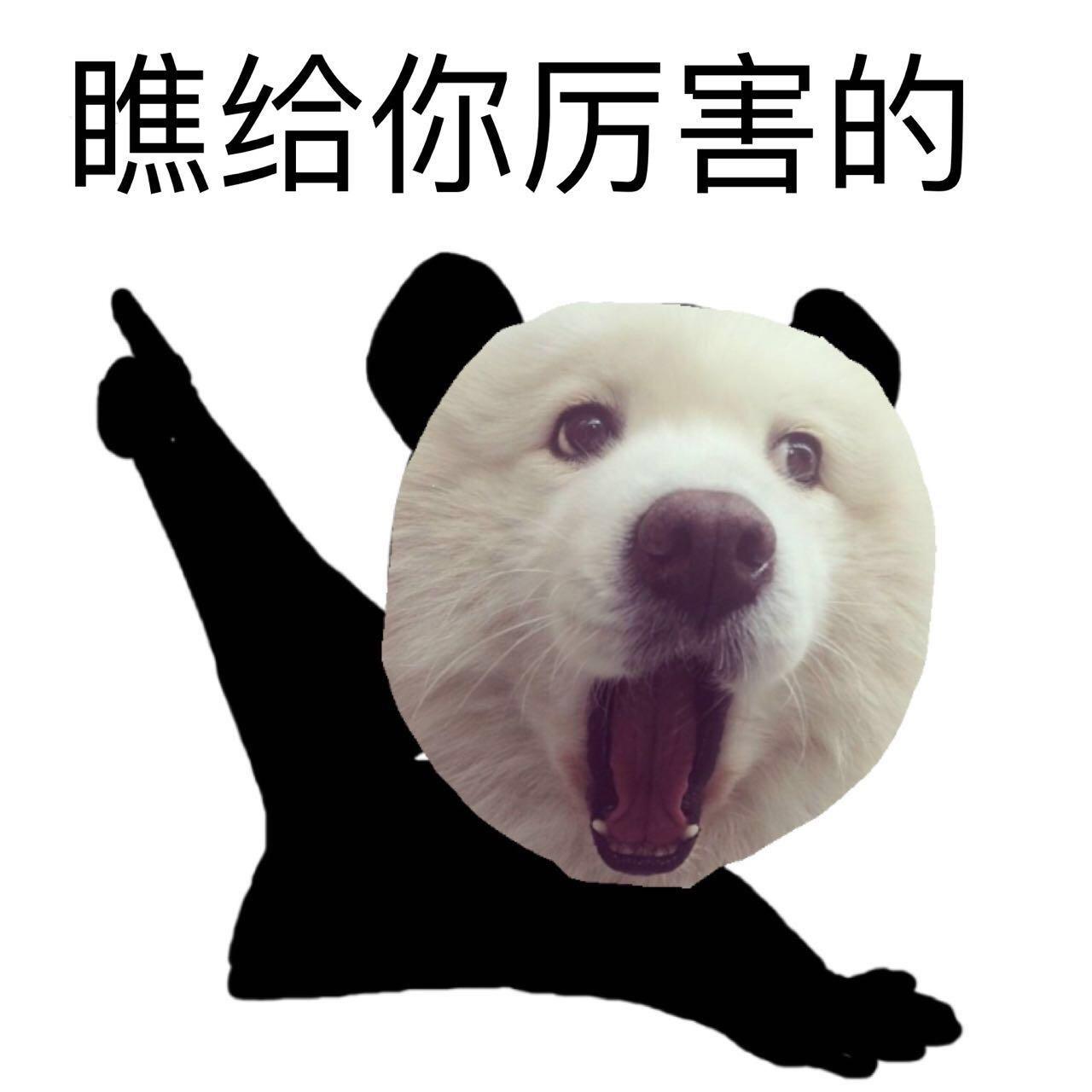 你见过哪些宛如智障的广告