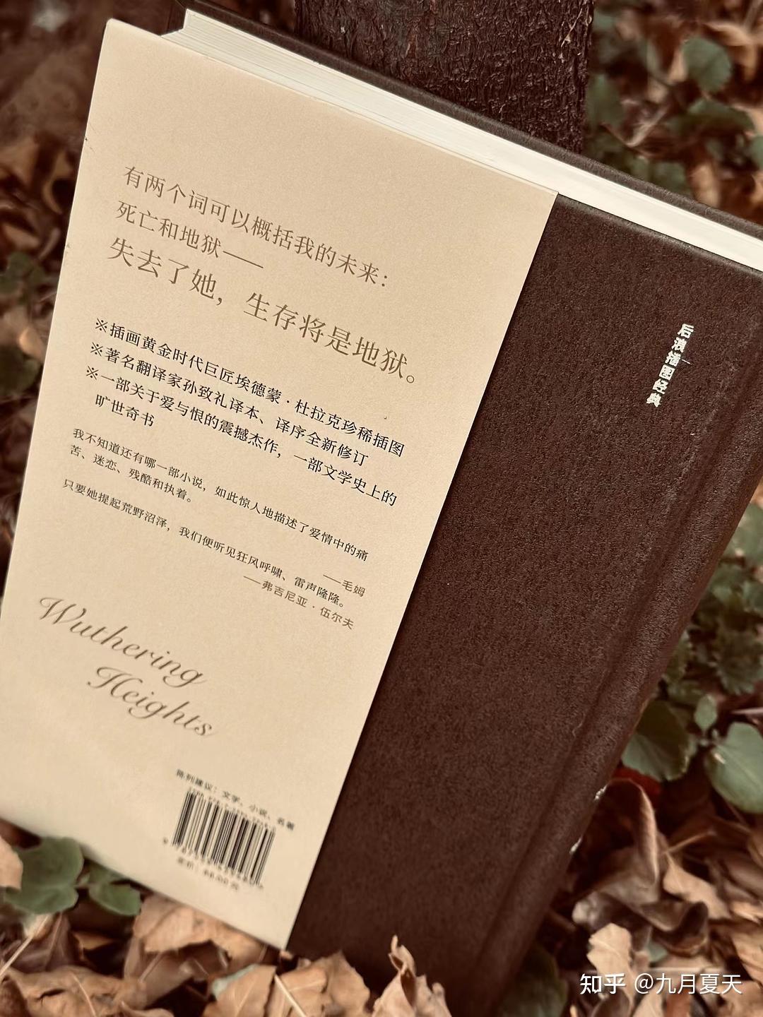 如何评价《呼啸山庄》?