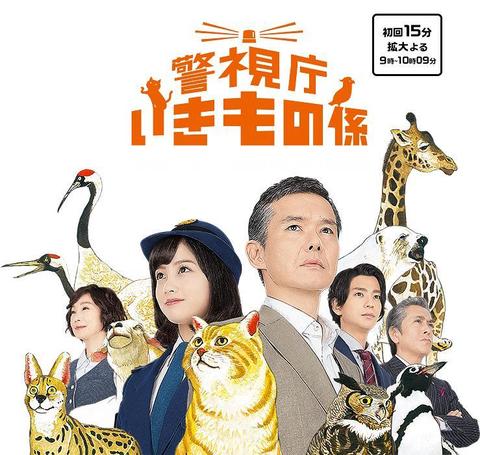 警视厅生物股长 日剧 知乎 警视厅生物股长 日剧 知乎