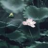 林上悠