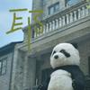 老六的由来 - 知乎