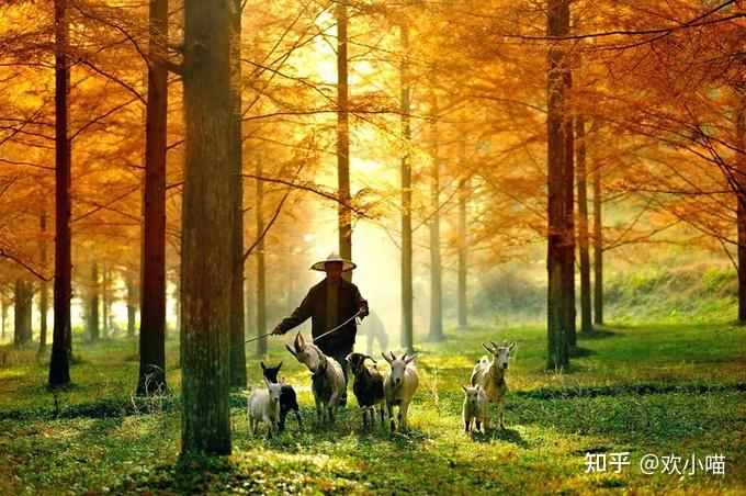 恩施艺术学校_恩施大峡谷旅游线路_恩施秘境旅游攻略