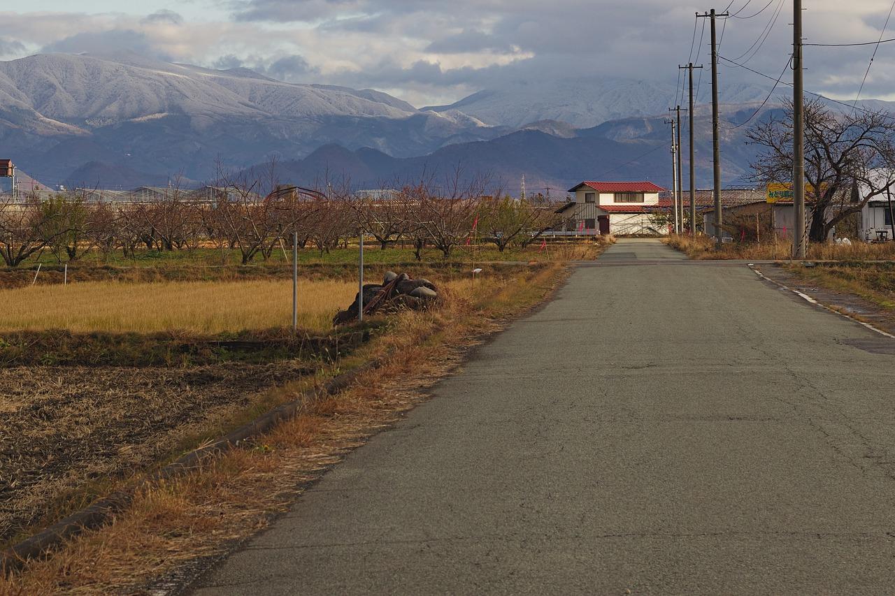 济源愚公路中学在哪里