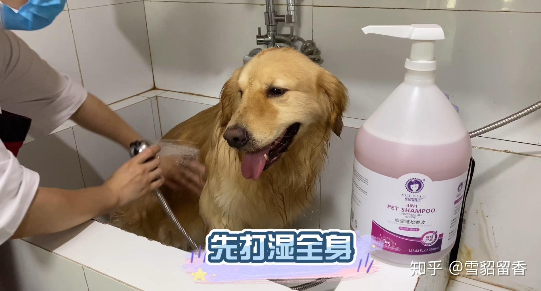 狗狗洗澡一定要用宠物沐浴液么？人用的沐浴露可以给狗狗洗澡吧？ - 知乎