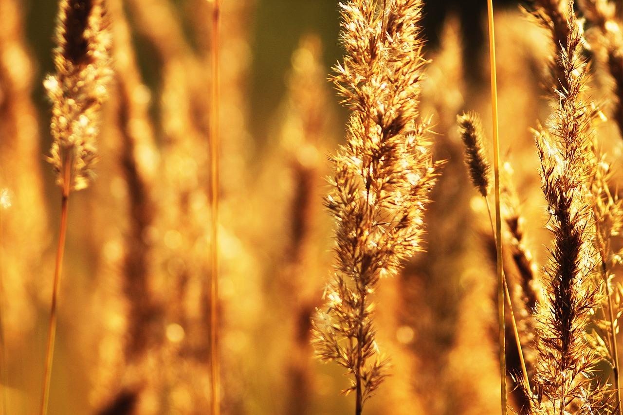 2. 洛阳宏进投递点