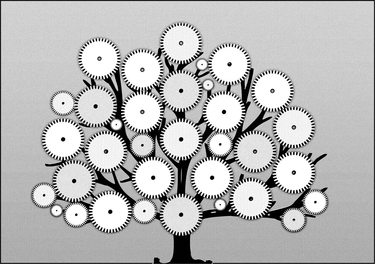 年计生工作展望与目标