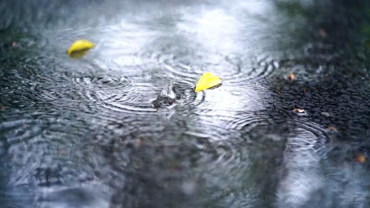 双城记:七月热雨 - 知乎