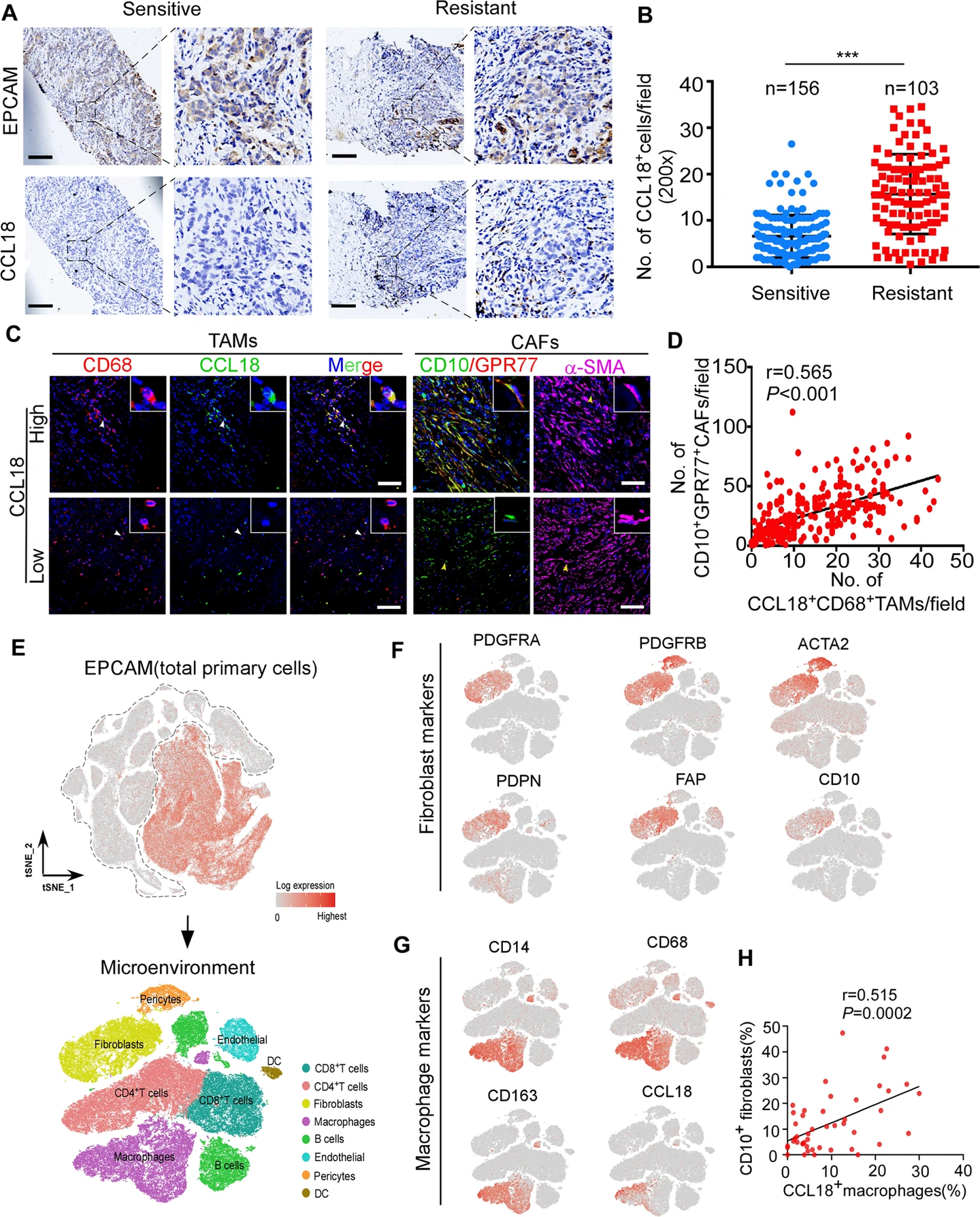 Raybio Oncogene(IF:8.756)|RayBio抗体芯片助力助力乳腺癌治疗研究 - 知乎