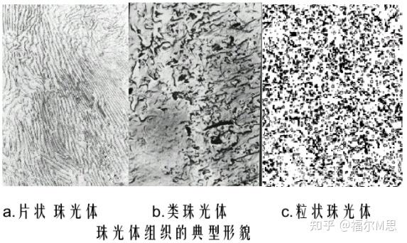 只有铁碳合金的共析组织叫珠光体吗,别的合金发生共析反应生成的也