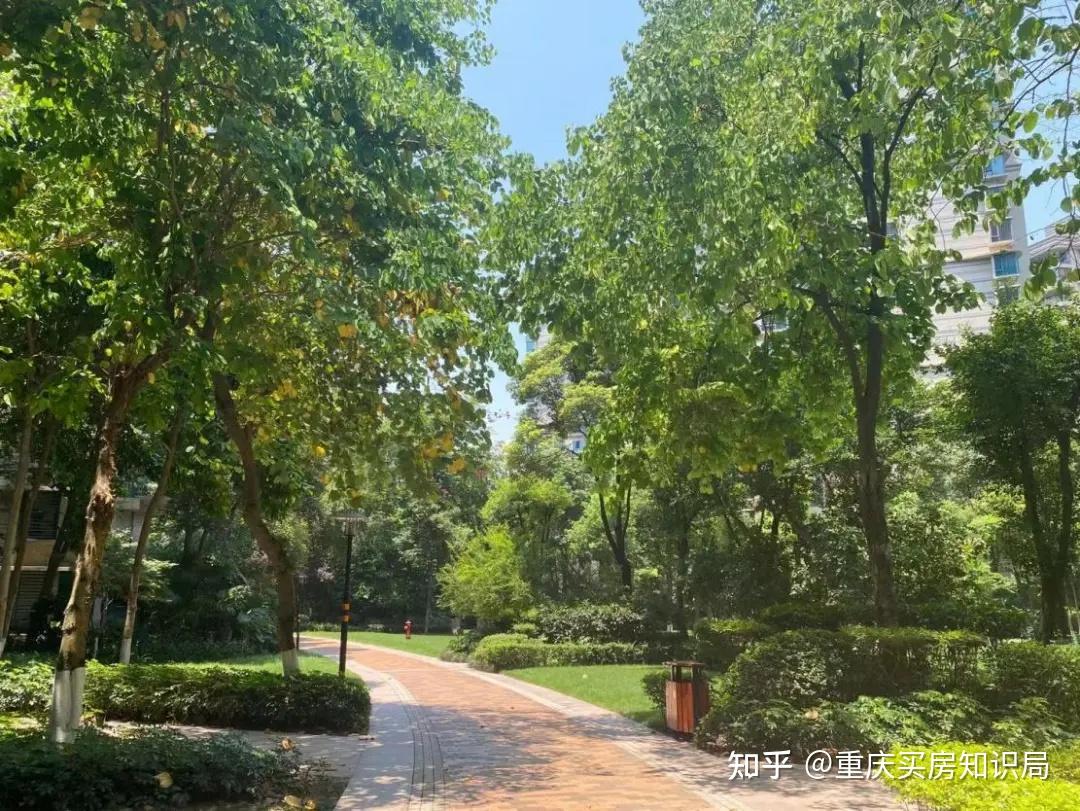探秘！重庆那些藏在核心区、环境巨好的二手房小区！ - 知乎