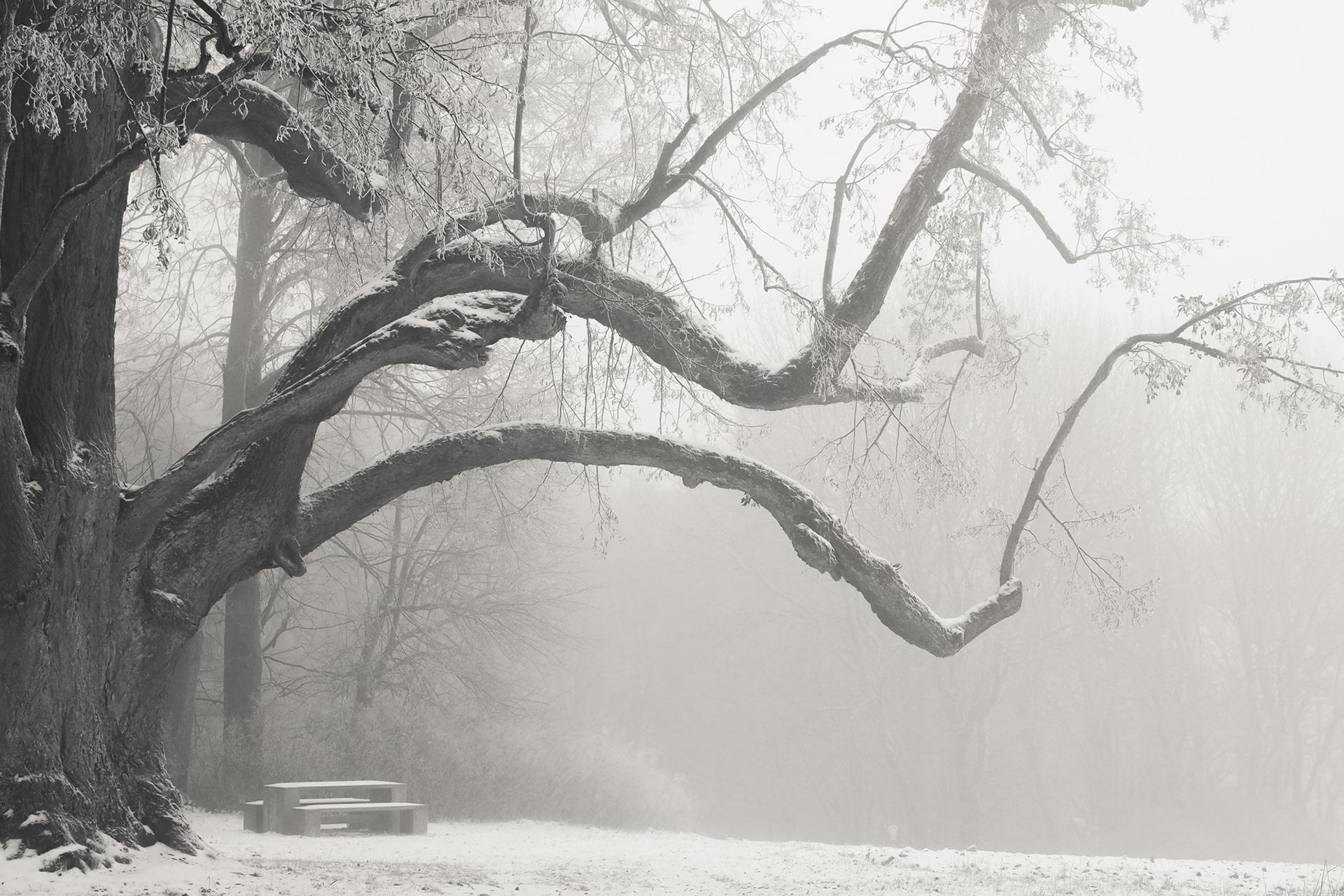 有没有电脑壁纸,黑白灰色调,谢谢? - 知乎