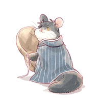 Zhihu profile picture for @collected