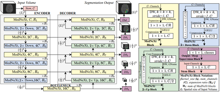 nnUNet 研究团队新作 | MedNeXt: 结合 ConvNeXT 的新一代 Transformer 网络架构 - 知乎