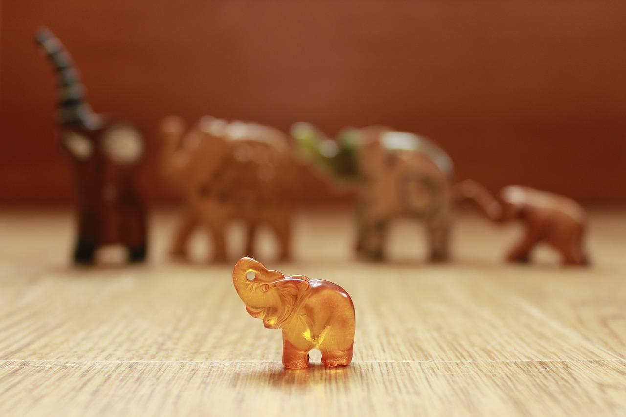 大象的寓意是什么