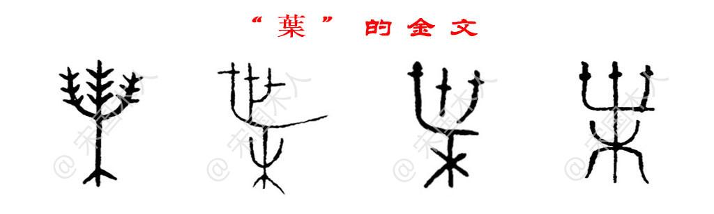 叶：汉字的起源与演变（小学一年级语文生字 第72集） - 知乎