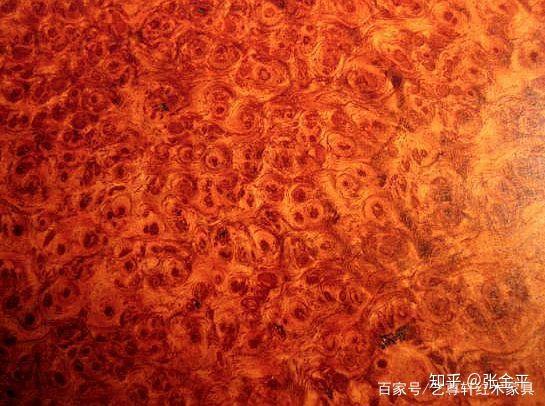 木中林黛玉」· 瘿木的“怪奇”之美- 知乎